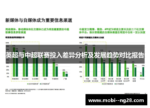 英超与中超联赛投入差异分析及发展趋势对比报告