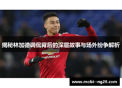 揭秘林加德调侃背后的深层故事与场外纷争解析