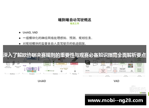 深入了解欧协联决赛规则的重要性与观赛必备知识指南全面解析要点