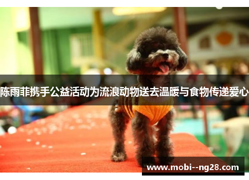 陈雨菲携手公益活动为流浪动物送去温暖与食物传递爱心