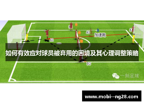 如何有效应对球员被弃用的困境及其心理调整策略