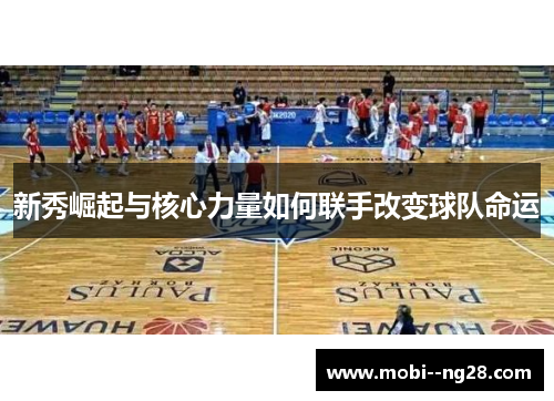 新秀崛起与核心力量如何联手改变球队命运