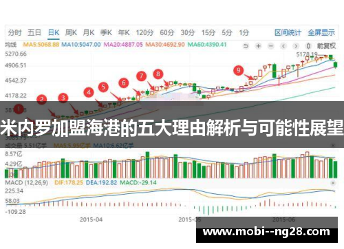 米内罗加盟海港的五大理由解析与可能性展望